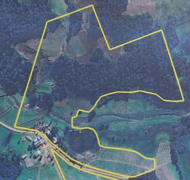  | Chácara para Venda - Chácara dos Padres - Camaquã