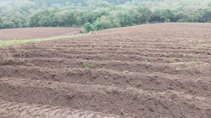 | Chácara para Venda - BOM SERÁ - AMARAL FERRADOR