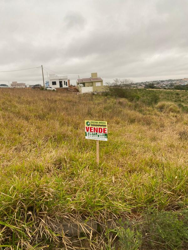  | Terreno para Venda - Dona Tereza - Camaquã
