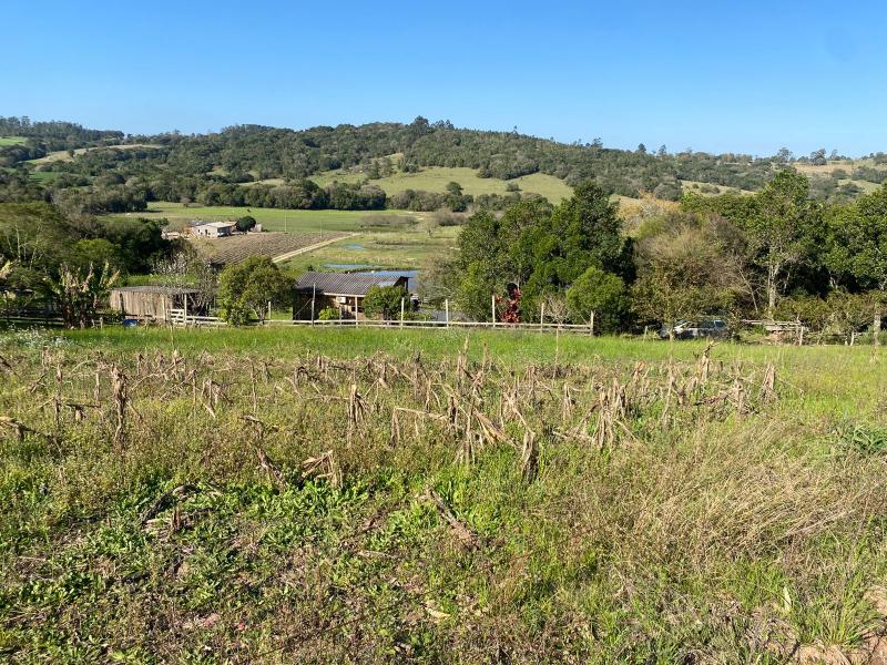  | Chácara para Venda - CORDEIRO - CAMAQUÃ