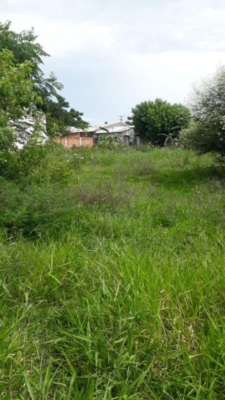  | Terreno para Venda - CARAMURU - ARAMBARÉ