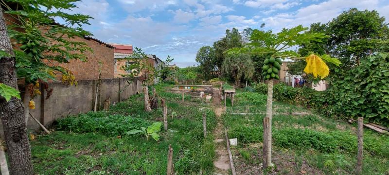  | Terreno para Venda - DONA TEREZA - CAMAQUÃ
