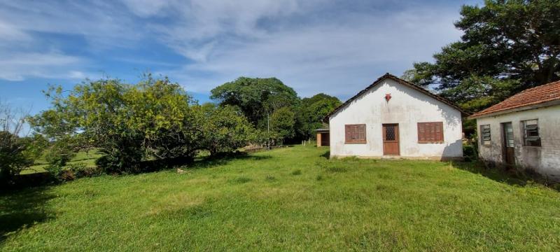  | Sítio para Venda - CAPÃO DO LEÃO - TAPES