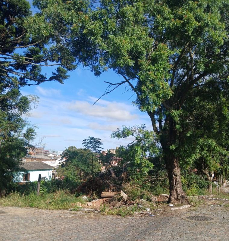  | Terreno para Venda - Vila Nova - Camaquã