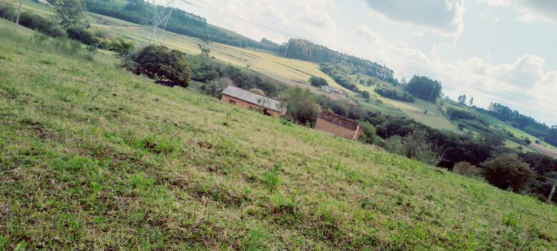  | Sítio para Venda - bonito - camqua