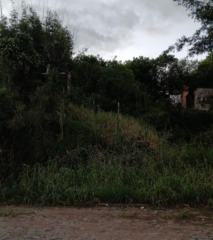  | Terreno para Venda - Siá Juliana - Camaquã
