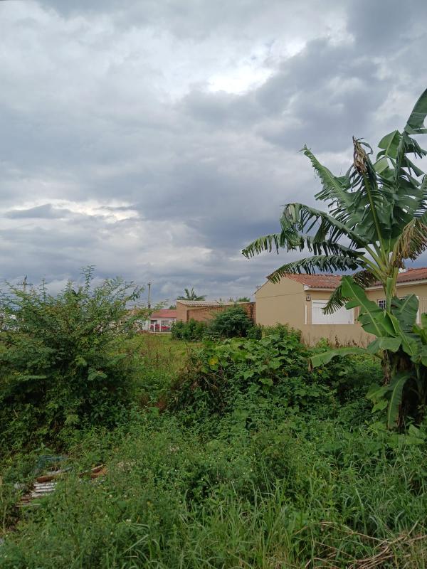  | Terreno para Venda - OLARIA - CAMAQUA