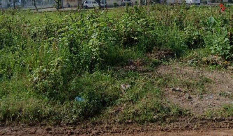  | Terreno para Venda - OLARIA - CAMAQUA